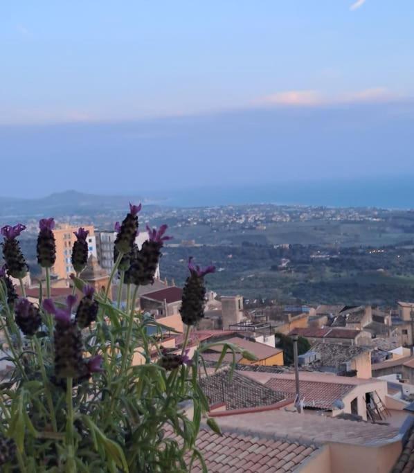 Casuzza Al Duomo Con Vista Valle Dei Templi! Agrigento Ngoại thất bức ảnh